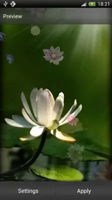 Lotus Live Wallpaper android App screenshot 2