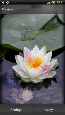 Lotus Live Wallpaper android App screenshot 4